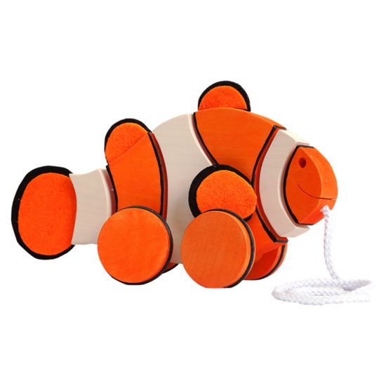 Anemoonvis